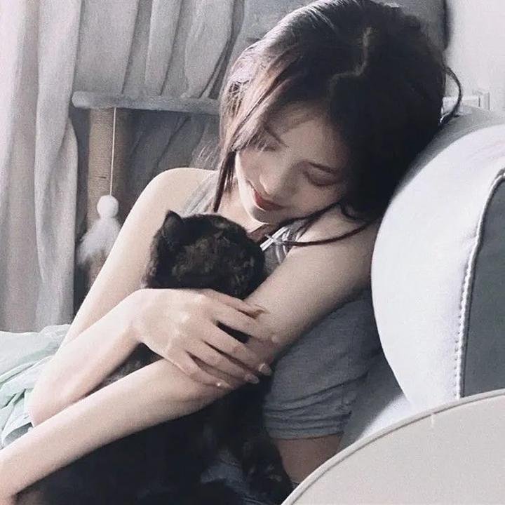 玩偶特工